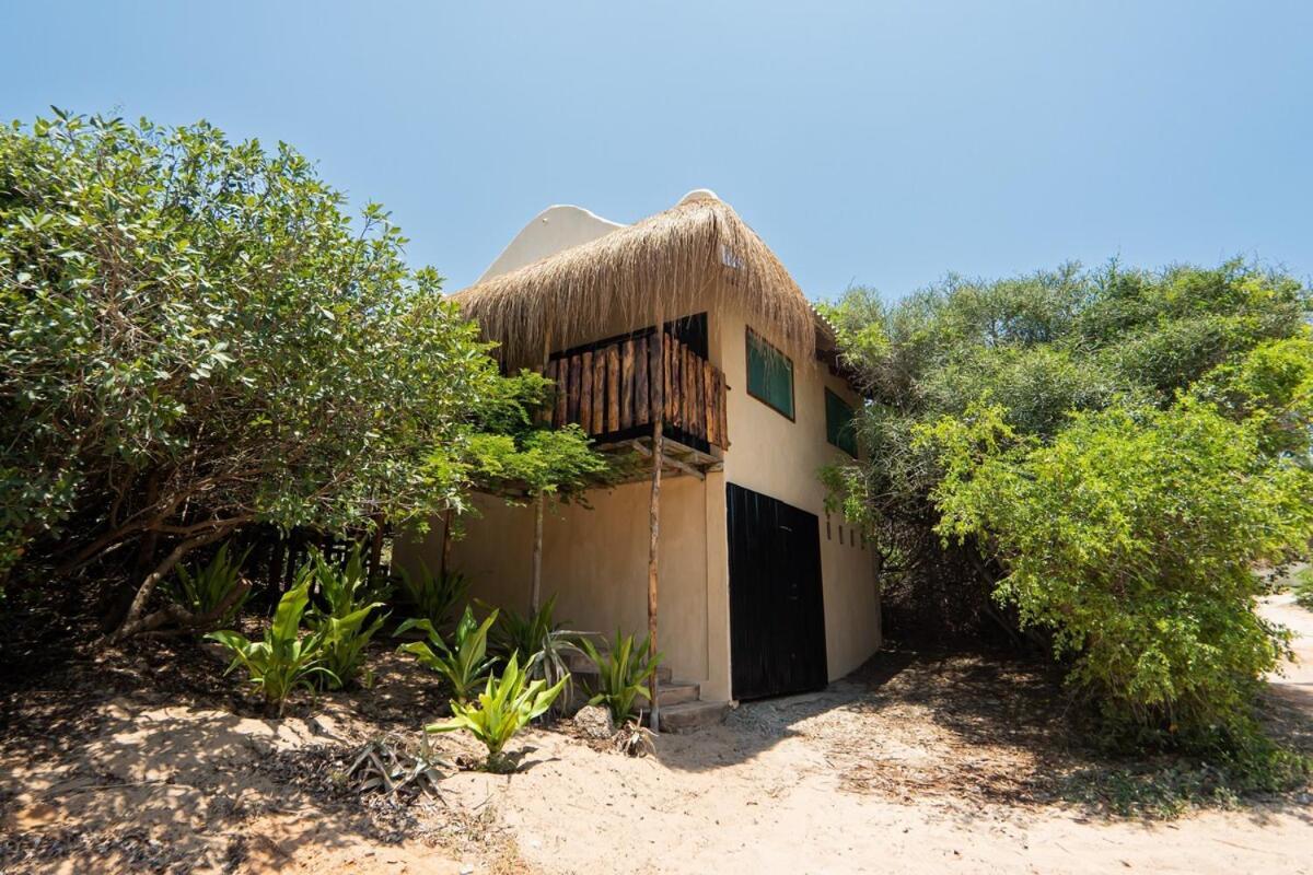 Tree House Cottage, Garden Views, Hot Water Praia do Praia do Tofo Eksteriør bilde